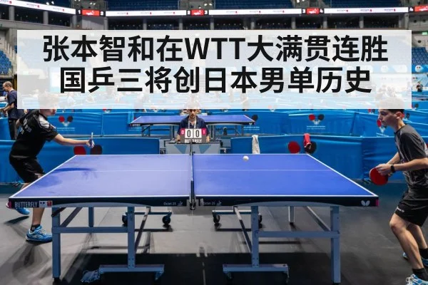 张本智和在WTT大满贯连胜国乒三将创日本男单历史