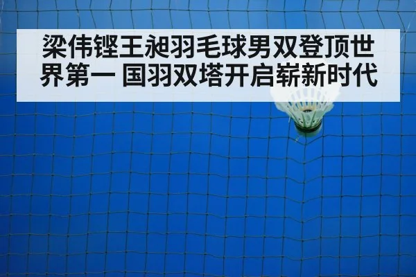 badminton net play